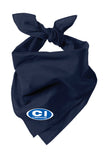 C-Innovation Bandana